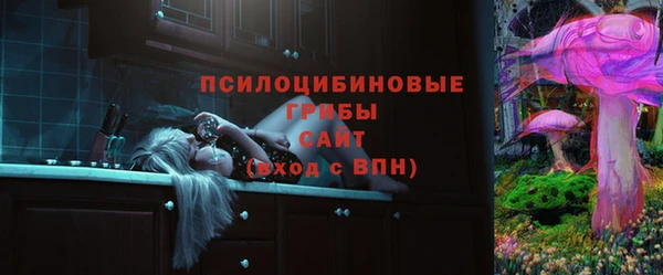бутират Переславль-Залесский
