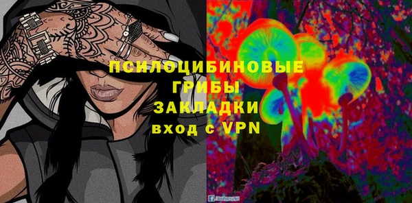 ECSTASY Пересвет