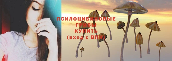 гашик Магас