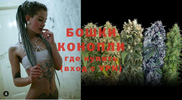 ECSTASY Пересвет