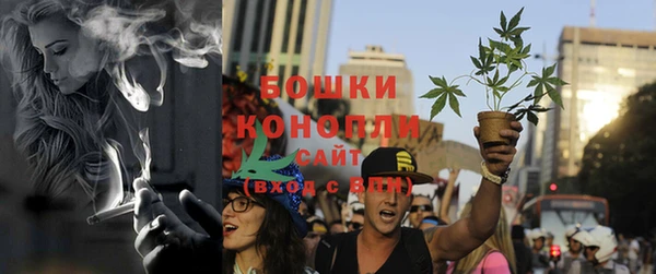 ECSTASY Пересвет
